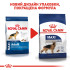 Сухий корм для дорослих собак великих розмірів ROYAL CANIN MAXI ADULT (домашня птиця), 4 кг